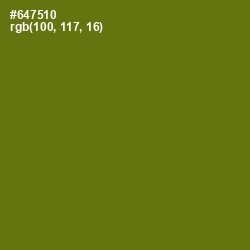#647510 - Olivetone Color Image