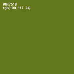 #647518 - Olivetone Color Image