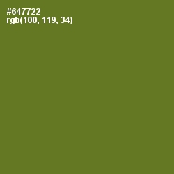 #647722 - Fern Frond Color Image