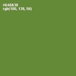 #648A38 - Olive Drab Color Image