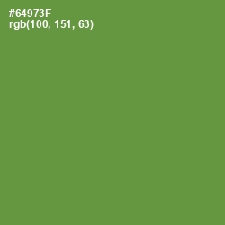 #64973F - Olive Drab Color Image