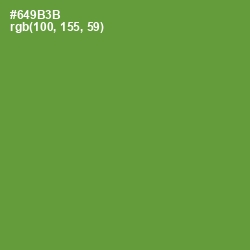 #649B3B - Olive Drab Color Image