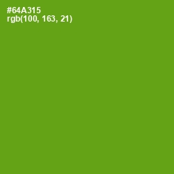 #64A315 - Christi Color Image