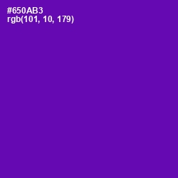 #650AB3 - Purple Color Image
