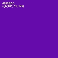 #650BAC - Purple Color Image