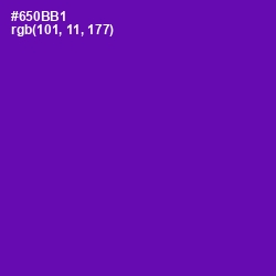 #650BB1 - Purple Color Image