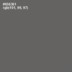 #656361 - Storm Dust Color Image