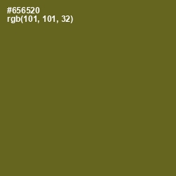 #656520 - Fern Frond Color Image