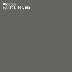 #656560 - Ironside Gray Color Image