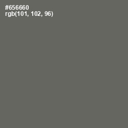 #656660 - Ironside Gray Color Image