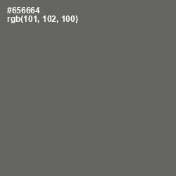 #656664 - Storm Dust Color Image