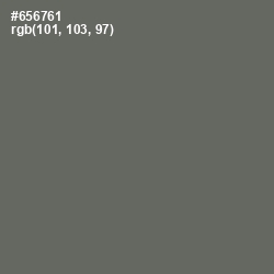 #656761 - Ironside Gray Color Image