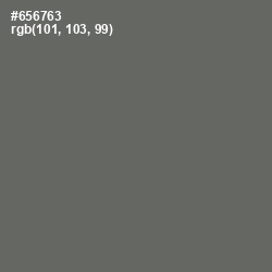 #656763 - Ironside Gray Color Image