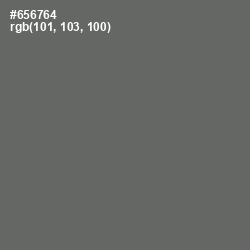 #656764 - Ironside Gray Color Image