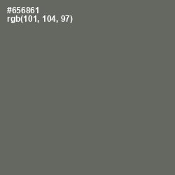 #656861 - Ironside Gray Color Image