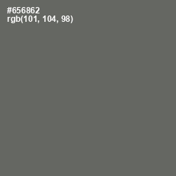 #656862 - Ironside Gray Color Image