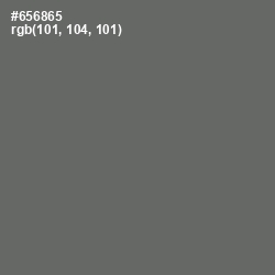 #656865 - Ironside Gray Color Image