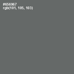 #656967 - Ironside Gray Color Image