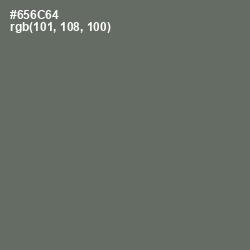 #656C64 - Ironside Gray Color Image