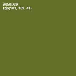 #656D29 - Fern Frond Color Image