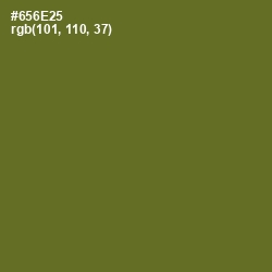 #656E25 - Fern Frond Color Image