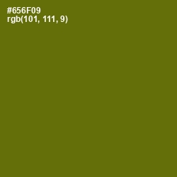 #656F09 - Olivetone Color Image