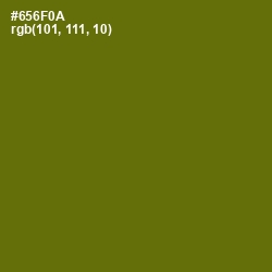 #656F0A - Olivetone Color Image