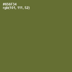 #656F34 - Yellow Metal Color Image