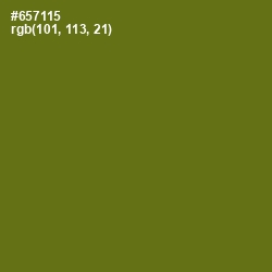 #657115 - Olivetone Color Image