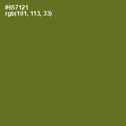 #657121 - Fern Frond Color Image