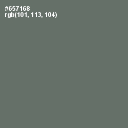 #657168 - Corduroy Color Image
