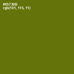 #65730B - Olivetone Color Image