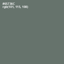 #65736C - Corduroy Color Image