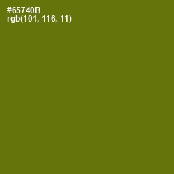 #65740B - Olivetone Color Image