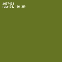 #657423 - Fern Frond Color Image