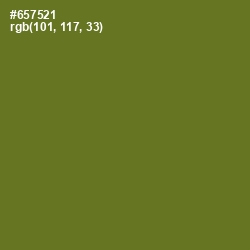 #657521 - Fern Frond Color Image