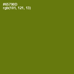 #65790D - Olivetone Color Image