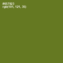 #657923 - Fern Frond Color Image