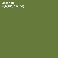 #657A3B - Crete Color Image
