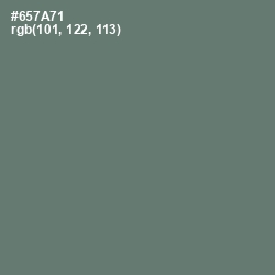 #657A71 - Nevada Color Image