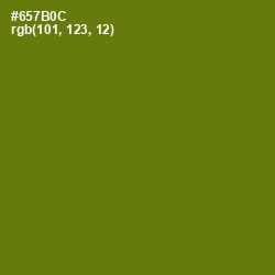 #657B0C - Olivetone Color Image