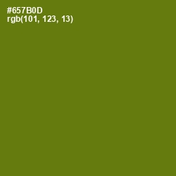 #657B0D - Olivetone Color Image