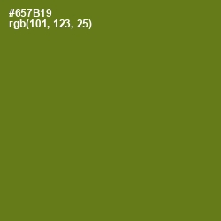 #657B19 - Olivetone Color Image