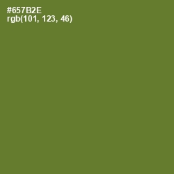 #657B2E - Fern Frond Color Image