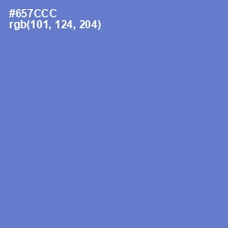 #657CCC - Moody Blue Color Image