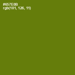 #657E0B - Olivetone Color Image