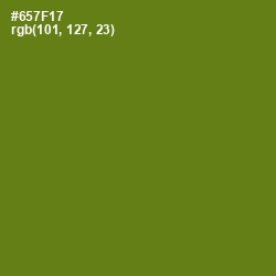 #657F17 - Olivetone Color Image