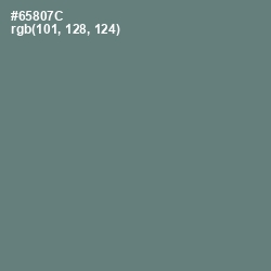 #65807C - Viridian Green Color Image