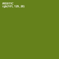 #65811C - Trendy Green Color Image