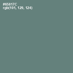 #65817C - Viridian Green Color Image